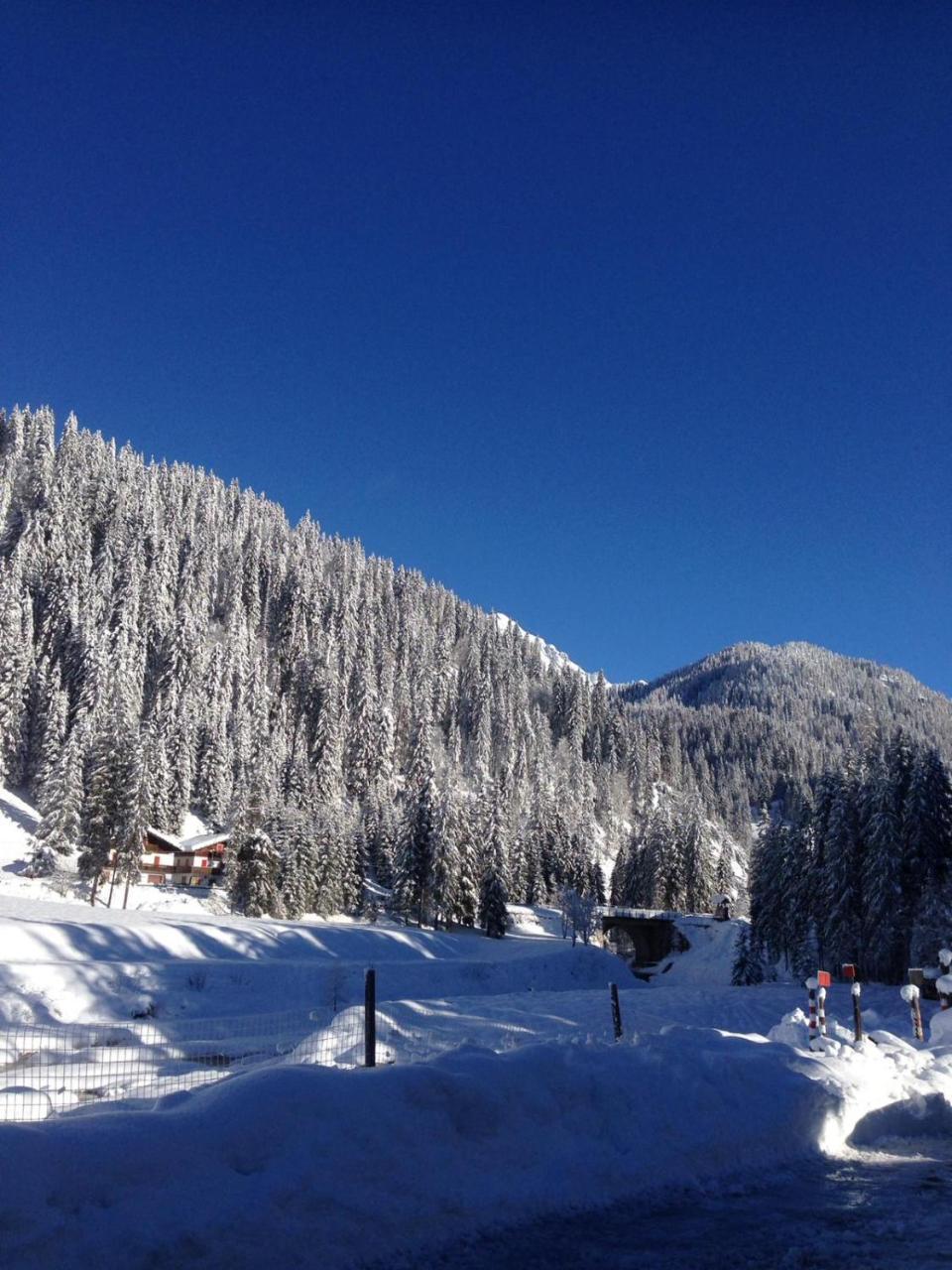 Bed and Breakfast Eirl Dolomites Retreat Sappada Exteriér fotografie